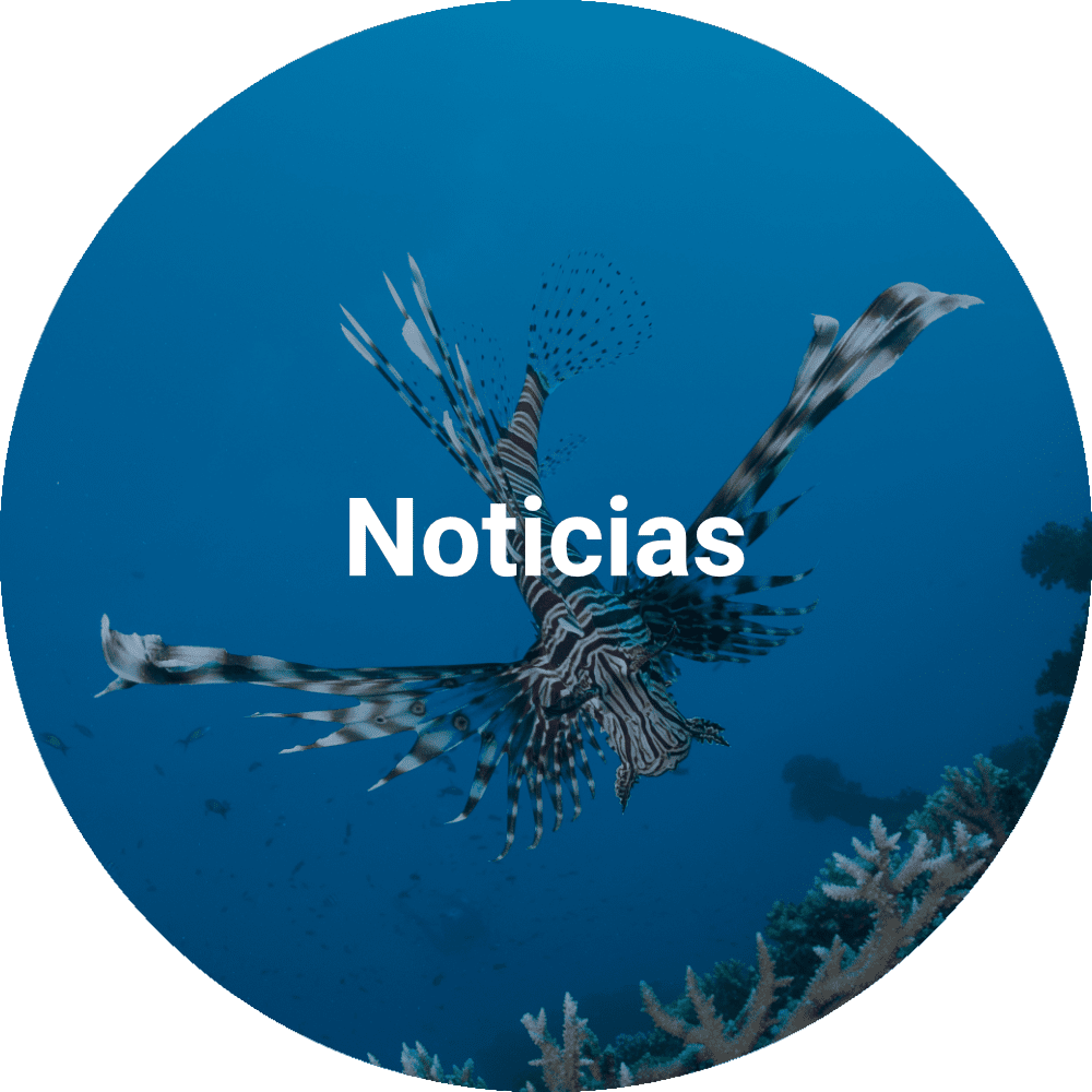 NASDS Noticias